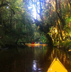 Kayaking - enjoying the peace and serenity of Okarito Lagoon. 