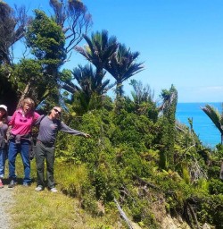 Point Elizabeth Paparoa National Park