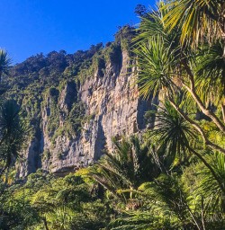 Paparoa National Park, West Coast New Zealand