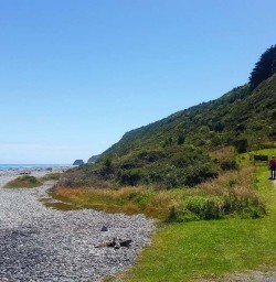 Point Elizabeth National Park
