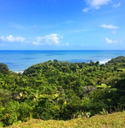 Paparoa National Park
