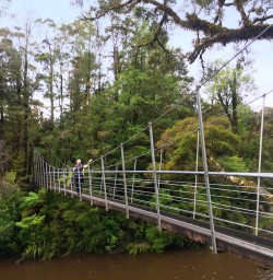 11 porarari river bridge west coast