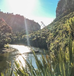Porarari River at Paparoa National Park, West Coast New Zealand