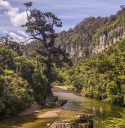 Porarari river, Paparoa National Park West Coast New Zealand