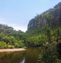 Porarari River at Paparoa National Park