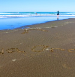 11 punakaiki beach west coast nz