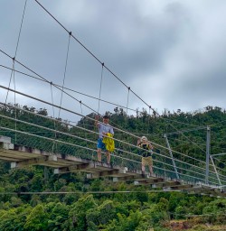 Swing bridge Paparoa National Park