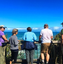 Checking out the Pancake Rocks