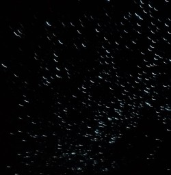 Waitomo Caves glowworms
