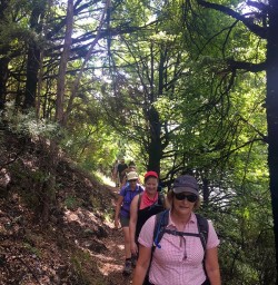 Walking the track around Lake Rotoiti
