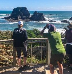 Wall Island at Tauranga Bay Seal Colony, West Coast New Zealand