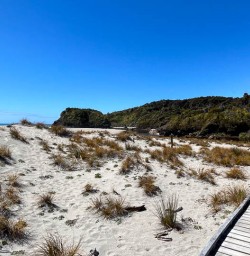West Coast New Zealand4