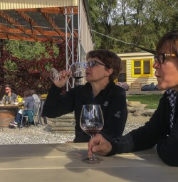 Wine tasting at Kinross wineyard winery, Gibbston Otago New Zealand