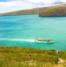 11. Godley Head trail views