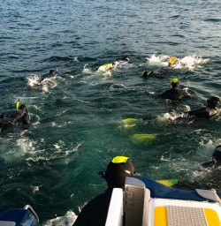 11. Group in water Dolphin Swim