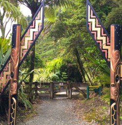 11. Pororari River Track start