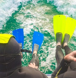 11. Ready for the water