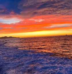 11. Sunrise from dolphin swim boat