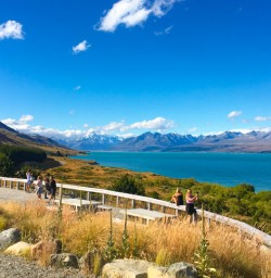11. Views from Lake Pukaki lookout