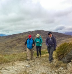 11. Guests hiking Rocky Mountain trail