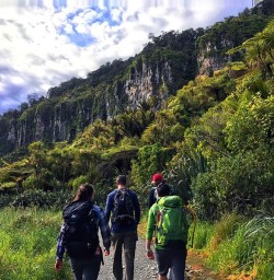 Hiking at Paparoa National Park