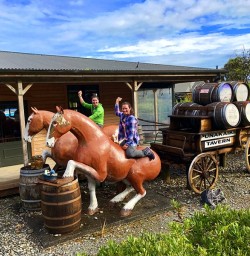 Unakaiki Tavern Horse Riding
