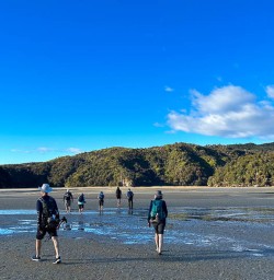 Able Tasman National Park 