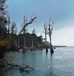 Adventures in Fiordland National Park