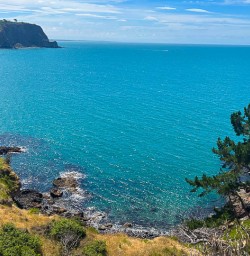 Godley Heads Walking tour in Kaikoura 