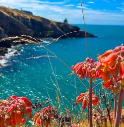 Godley Heads in New Zealand 