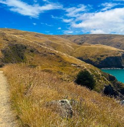 Godley Heads walking tour with New Zealand Trails