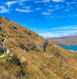Godley Heads walking track 