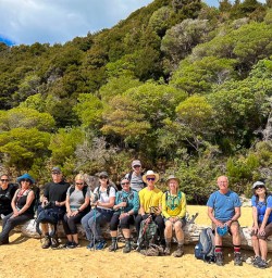 Golden sandy beaches of Able Tasman National Park 