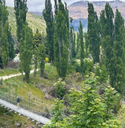 Hike near Queenstown 18 November 2024 2