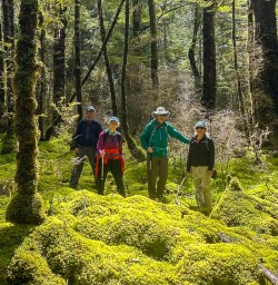 Kepler Track