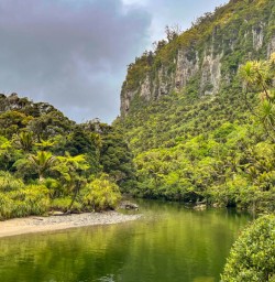 12 Pororari River Track