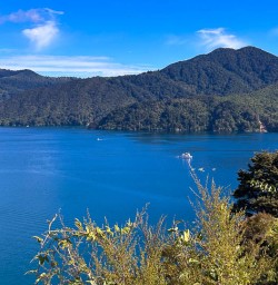 St Arnaud