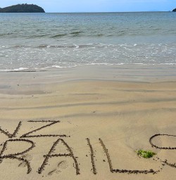 Stewart Island walking tours