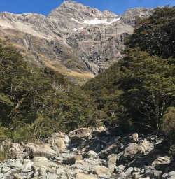 River at Arthurs Pass National Park, Canterbury New Zealand