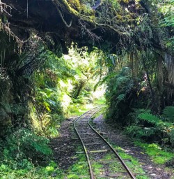 Charleston Express train tracks