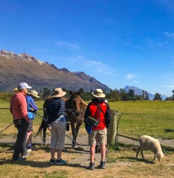 Farm experience Mount Nicholas Queenstown