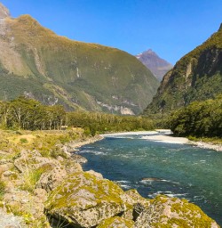 Fiordland National Park river