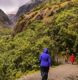Franz Josef Glacier, West Coast New Zealand