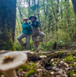Fungi on Kepler Track