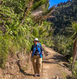 Guest at Porarari river, Paparoa National Park West Coast New Zealand