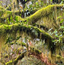 12 guests in Fiordland Nationalpark KC03NOV25