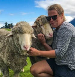 Guide and sheep Queenstown