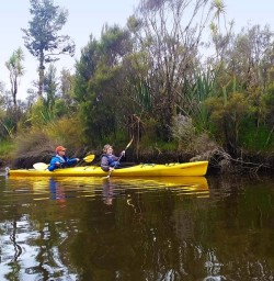 Kayaking at Okarito Lagoon