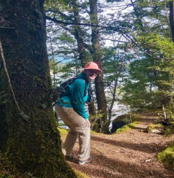 Hiking the Kepler Track