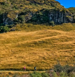 Hills of Wanaka
